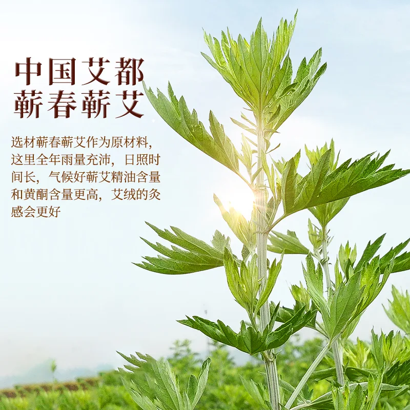 千年艾 20ml蕲艾精油按摩推拿刮痧艾灸艾草艾叶艾油湖北蕲春 图4