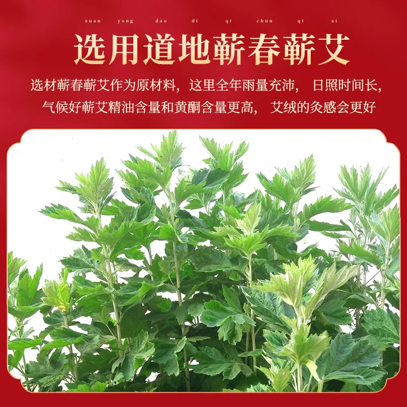马年新年蕲艾礼盒 蕲艾暖颈贴5片装一盒 蕲艾暖腰贴5片装一盒 蕲艾暖膝贴6片装一盒 蕲艾暖足贴10片装一盒 蕲艾足浴包10袋一盒 蕲艾蒸汽眼罩5片一盒 蕲艾艾灸贴5片一盒 图2
