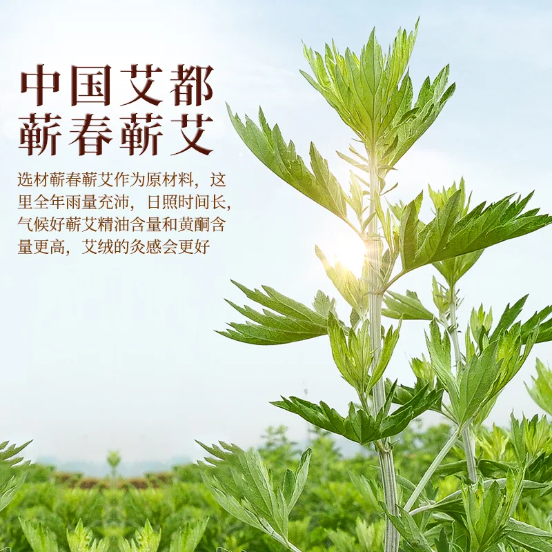 5袋装千年艾特制三伏温灸贴  三伏专用  非遗贴方   节气定制 图4