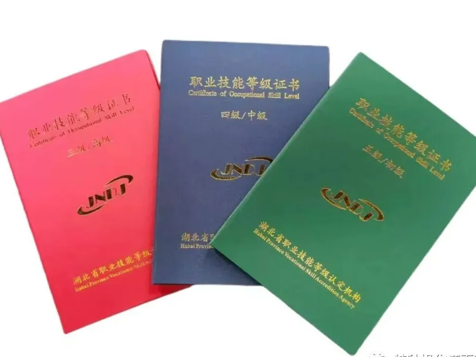 我的证书 图2